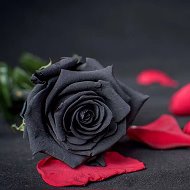 Ритуальные услуги Чёрная Роза 🥀
